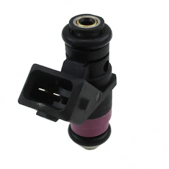 Injecteur HOFFER H75117223E