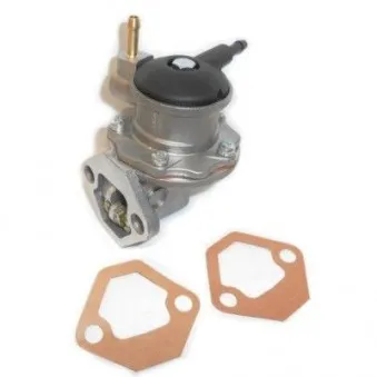 Pompe à carburant HOFFER OEM 4067999