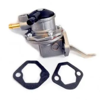 Pompe à carburant HOFFER OEM 4460210
