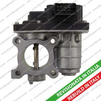 DIPASPORT FLAI263R - Corps papillon