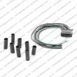 Kit de montage, kit de câbles DIPASPORT [PLUG1211]