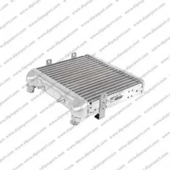 Radiateur d'huile DIPASPORT [RAO067N]