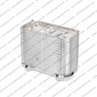 DIPASPORT RAO102N - Radiateur d'huile
