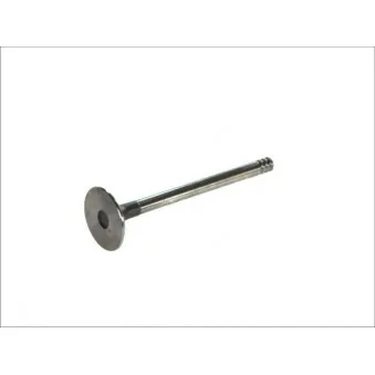 Soupape d'admission PARADOWSCY OEM 068109601C