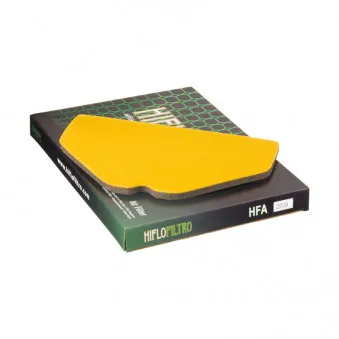 Filtre à air HIFLO HFA2909