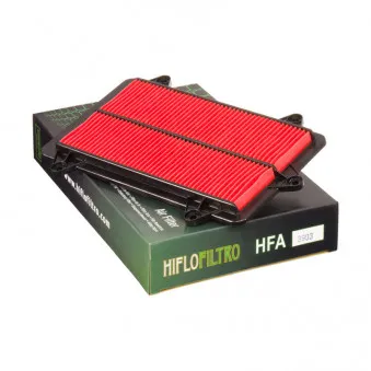 Filtre à air HIFLO HFA3903