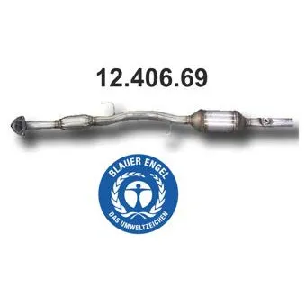 Catalyseur EBERSPÄCHER OEM 6Q0254502RX
