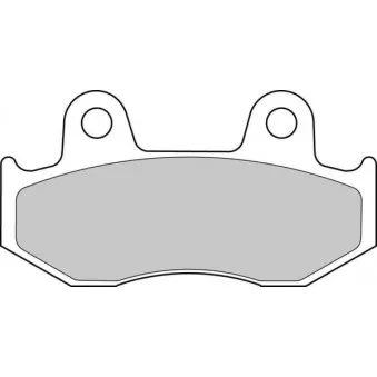 FERODO RACING FDB2119EF - Jeu de 2 plaquettes de frein avant