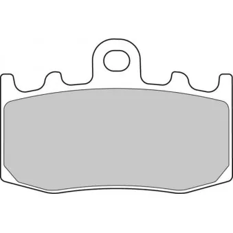 Jeu de 2 plaquettes de frein avant FERODO RACING FDB2125ST