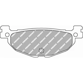 Jeu de 2 plaquettes de frein arrière FERODO RACING FDB2200SM