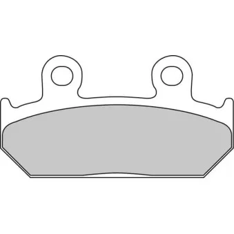 Jeu de 2 plaquettes de frein avant FERODO RACING FDB462P