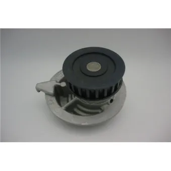 GMB GWDW-11A - Pompe à eau