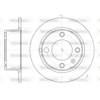 Jeu de 2 disques de frein arrière WOKING OEM 95667811