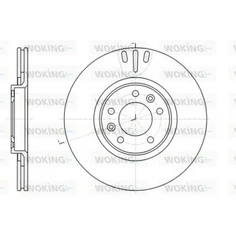 Jeu de 2 disques de frein arrière WOKING OEM 424911