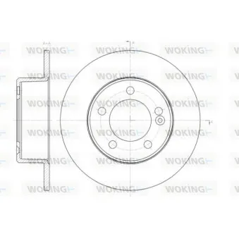 Jeu de 2 disques de frein arrière WOKING OEM 432064087R