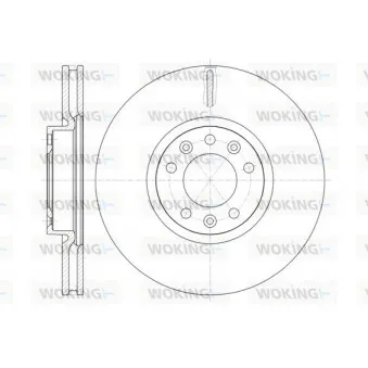 Jeu de 2 disques de frein avant WOKING OEM 4249K1