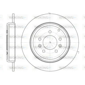 Jeu de 2 disques de frein arrière WOKING OEM 4246N1