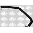 SASIC 3400078 - Durite de radiateur