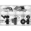SASIC 3906040 - Pompe à eau + kit de courroie de distribution