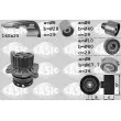 SASIC 3906077 - Pompe à eau + kit de courroie de distribution