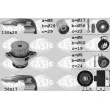 SASIC 3906085 - Pompe à eau + kit de courroie de distribution