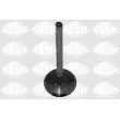 Soupape d'échappement SASIC [4000909]