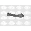 SASIC 4003388 - Support, suspension du moteur avant gauche