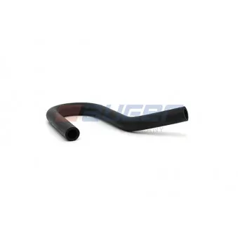 Durite de radiateur AUGER 85318