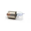 Ampoule, feu stop/feu arrière AUGER [91357]