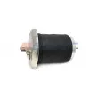 Ressort pneumatique, suspension pneumatique AUGER [AU 342844-K01]
