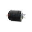 Ressort pneumatique, suspension pneumatique AUGER [AU 347023-KP04]