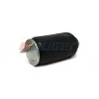 Ressort pneumatique, suspension pneumatique AUGER [AU 347415]