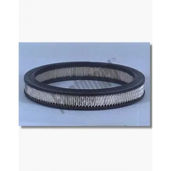 Filtre à air FLEETGUARD OEM 77TF9601AA