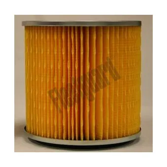 Filtre à air FLEETGUARD AF25392