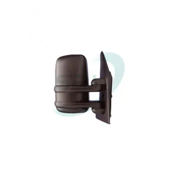 Rétroviseur extérieur SPJ OEM 7700352188