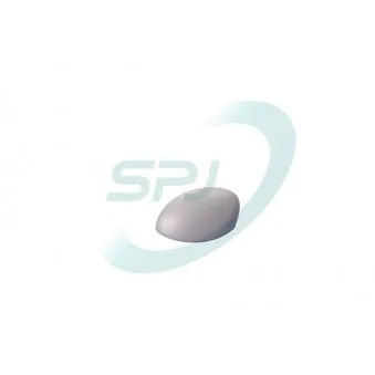 Revêtement, rétroviseur extérieur SPJ OEM 815240