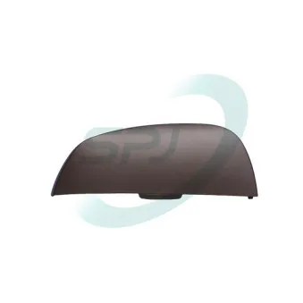 Revêtement, rétroviseur extérieur SPJ OEM 6428909