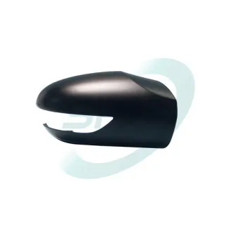 Revêtement, rétroviseur extérieur SPJ OEM 1698110860