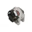 STARDAX STX100617 - Alternateur