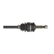 POINT GEAR PNG70390 - Arbre de transmission avant droit 