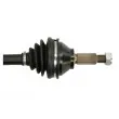 POINT GEAR PNG72187 - Arbre de transmission avant droit