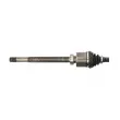 POINT GEAR PNG72918 - Arbre de transmission avant droit 