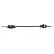 POINT GEAR PNG73019 - Arbre de transmission avant droit