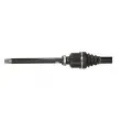 POINT GEAR PNG75170 - Arbre de transmission avant droit 