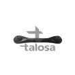 Triangle ou bras de suspension (train arrière) TALOSA [46-10063]