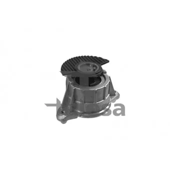 TALOSA 61-02242 - Support moteur