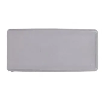 Disperseur TRUCKLIGHT OEM 81251100068