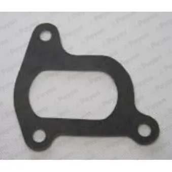 Joint d'étanchéité, pompe à eau PAYEN KA5053