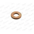 PAYEN KG5347 - Bague d'étanchéité, porte-injecteur