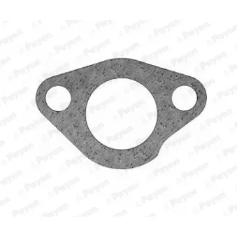 Joint d'étanchéité, thermostat PAYEN KS617